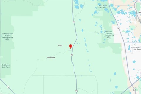 Land in Polk City, Florida № 2160814 - photo 5