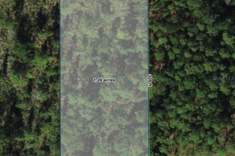 Land in Polk City, Florida № 2160814