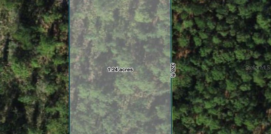 Land in Polk City, Florida № 2160814