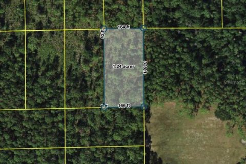 Land in Polk City, Florida № 2160814 - photo 2