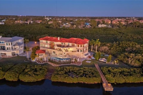 Купить виллу или дом в Тарпон-Спрингс, Флорида 12 комнат, 612.69м2, № 2308746 - фото 4