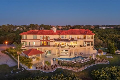 House in Tarpon Springs, Florida 6 bedrooms, 612.69 sq.m. № 2308746