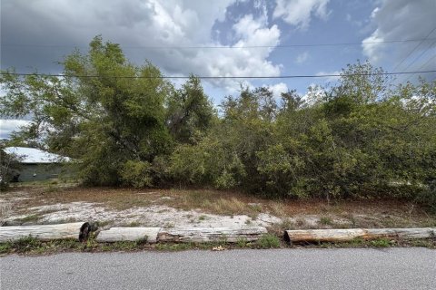 Terreno en venta en Lake Wales, Florida № 2108318 - foto 3