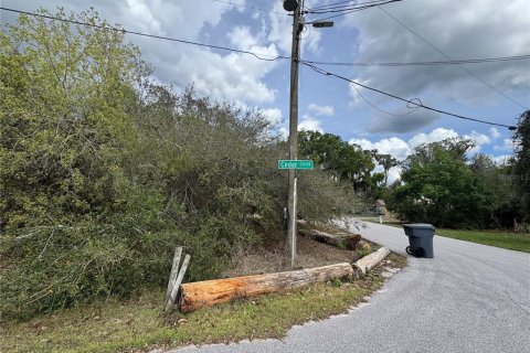 Terreno en venta en Lake Wales, Florida № 2108318 - foto 4
