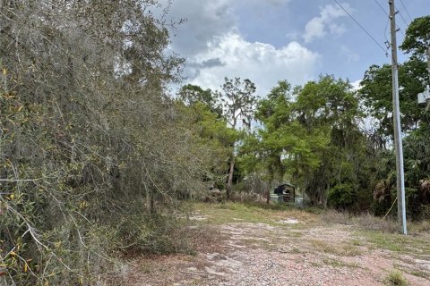 Terreno en venta en Lake Wales, Florida № 2108318 - foto 5