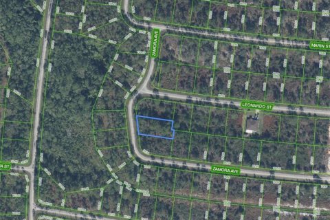 Land in Sebring, Florida № 2364882