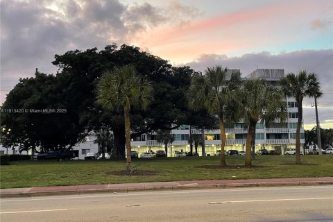 Condominio en alquiler en Miami Beach, Florida, 1 dormitorio, 80.27 m2 № 1968812 - foto 9