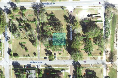 Land in Lakeland, Florida № 1296959 - photo 2