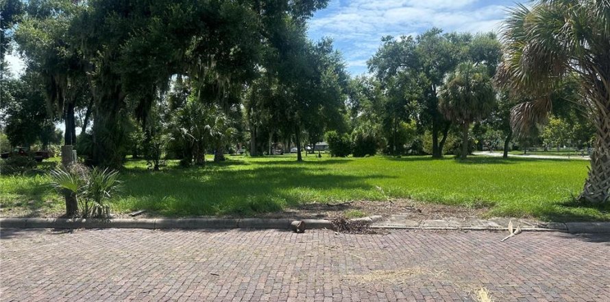 Land in Lakeland, Florida № 1296959