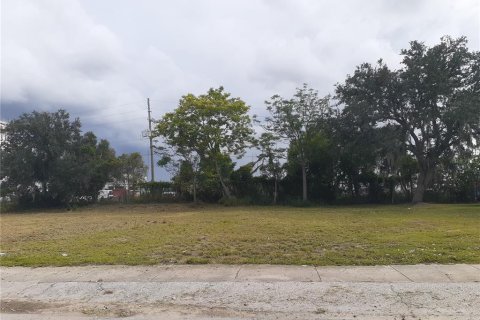 Land in Lake Wales, Florida № 1650989 - photo 4