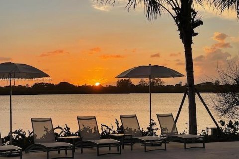 Studio à Condo à Palm Beach, Floride  № 2169736