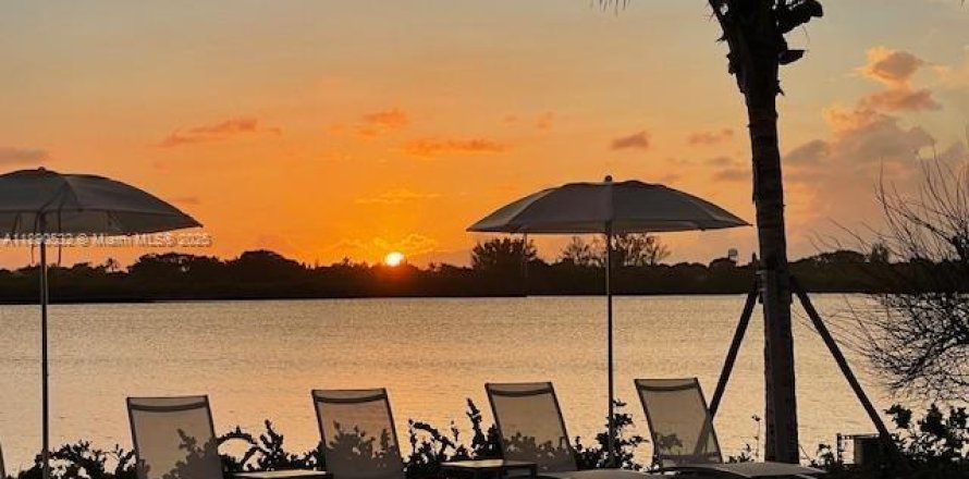Studio à Condo à Palm Beach, Floride № 2169736