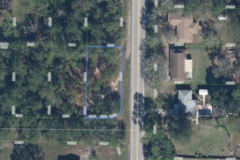 Land in Sebring, Florida № 2345542