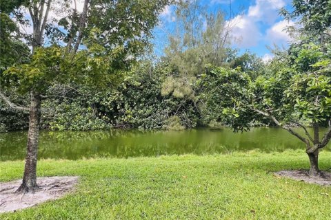 Снять в аренду кондоминиум в Уэст-Палм-Бич, Флорида 1 спальня, 54.35м2, № 1949815 - фото 11