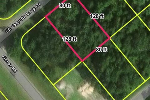 Land in Ocklawaha, Florida № 2211628 - photo 2