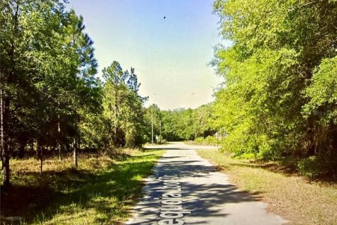 Land in Ocklawaha, Florida № 2211628
