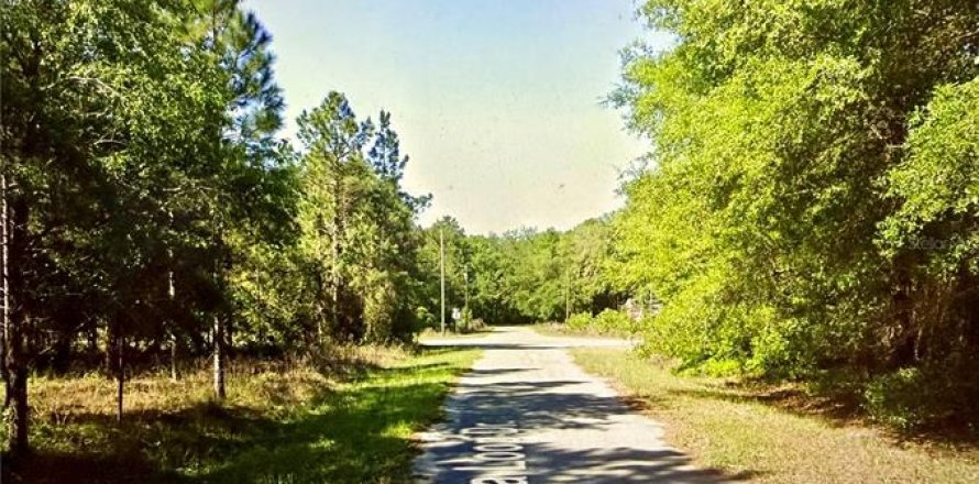 Land in Ocklawaha, Florida № 2211628