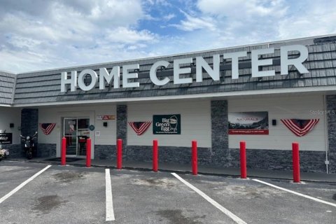 Immobilier commercial à vendre à Tampa, Floride: 668.9 m2 № 2362548 - photo 2