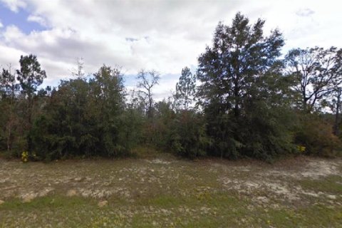 Land in Chipley, Florida № 2162757