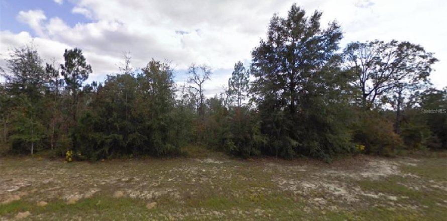 Land in Chipley, Florida № 2162757
