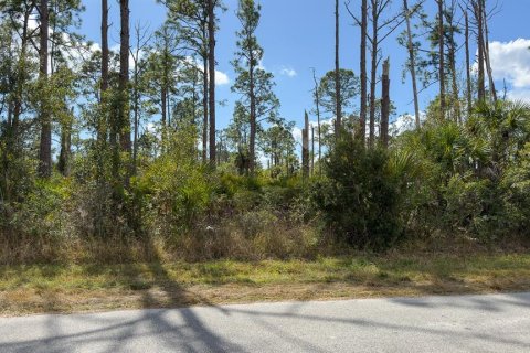 Terreno en venta en Port Charlotte, Florida № 2165491 - foto 11