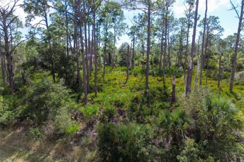 Terreno en venta en Port Charlotte, Florida № 2165491 - foto 12