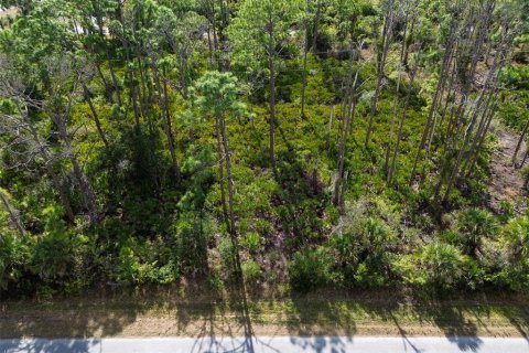 Terreno en venta en Port Charlotte, Florida № 2165491 - foto 10