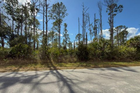 Terreno en venta en Port Charlotte, Florida № 2165491 - foto 7