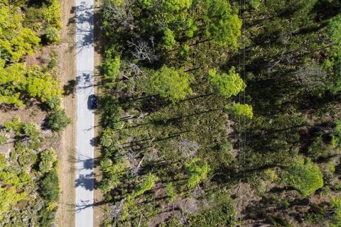 Terreno en venta en Port Charlotte, Florida № 2165491 - foto 16