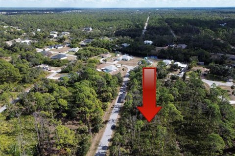 Land in Port Charlotte, Florida № 2165491