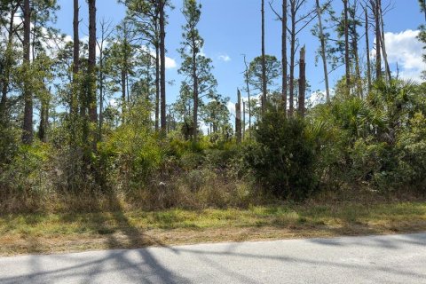 Terreno en venta en Port Charlotte, Florida № 2165491 - foto 9