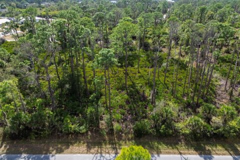 Terreno en venta en Port Charlotte, Florida № 2165491 - foto 15