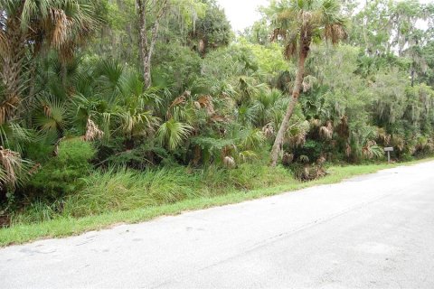 Terreno en New Smyrna Beach, Florida № 2220922