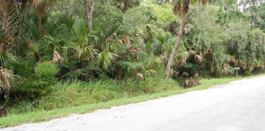 Terreno en New Smyrna Beach, Florida № 2220922