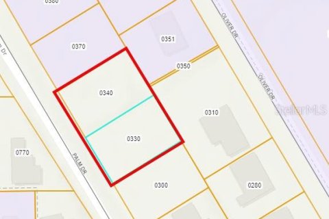 Terreno en venta en New Smyrna Beach, Florida № 2220922 - foto 4
