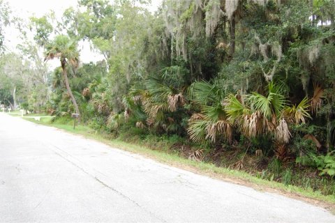 Terreno en venta en New Smyrna Beach, Florida № 2220922 - foto 2