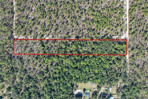 Terreno en venta en Dunnellon, Florida № 1658529 - foto 3