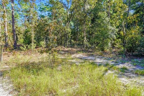 Terreno en venta en Dunnellon, Florida № 1658529 - foto 6