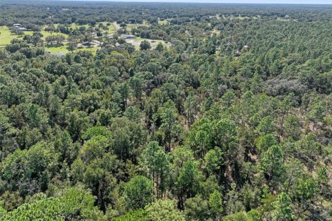 Terreno en venta en Dunnellon, Florida № 1658529 - foto 8