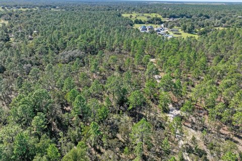 Terreno en venta en Dunnellon, Florida № 1658529 - foto 11