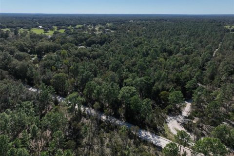 Terreno en venta en Dunnellon, Florida № 1658529 - foto 1