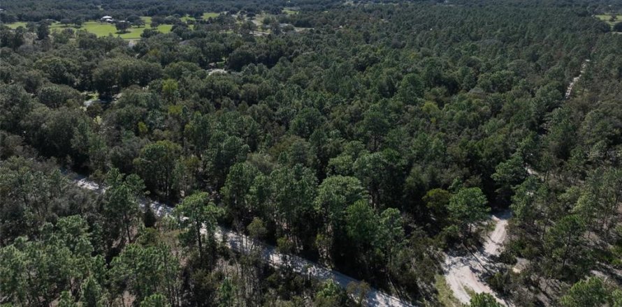 Terreno en Dunnellon, Florida № 1658529