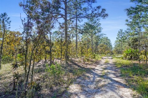 Terreno en venta en Dunnellon, Florida № 1658529 - foto 4