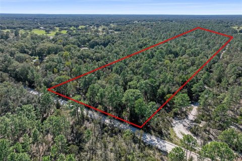 Terreno en venta en Dunnellon, Florida № 1658529 - foto 2
