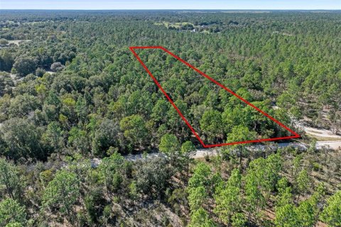 Terreno en venta en Dunnellon, Florida № 1658529 - foto 12