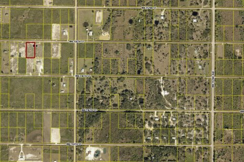 Commercial property in Okeechobee, Florida № 2177187 - photo 5