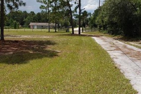 House in Belleview, Florida 3 bedrooms, 139.54 sq.m. № 2390784 - photo 5