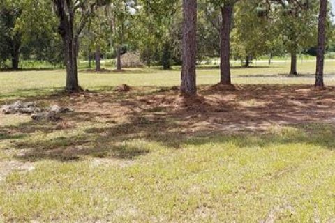 House in Belleview, Florida 3 bedrooms, 139.54 sq.m. № 2390784 - photo 4