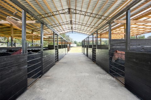 Villa ou maison à vendre à Belleview, Floride: 3 chambres, 159.42 m2 № 2222847 - photo 3