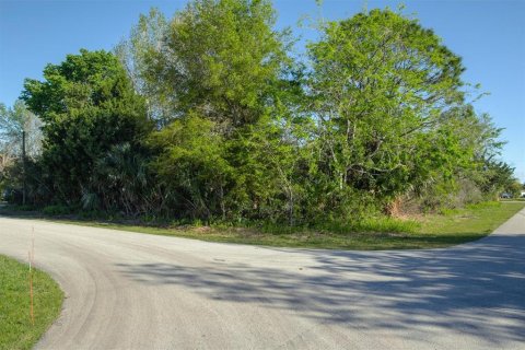 Land in Palm Coast, Florida № 1615320 - photo 4